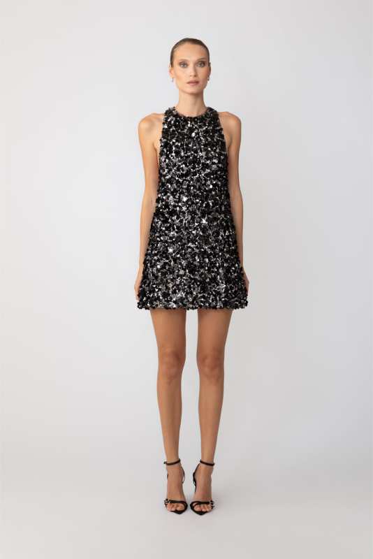 Whitney Mini Dress